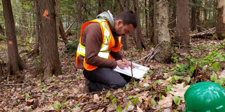 Aménagement des berges Québec