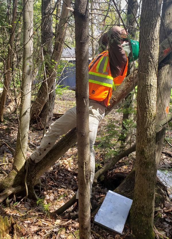 Évaluation environnementale de site, Lévis