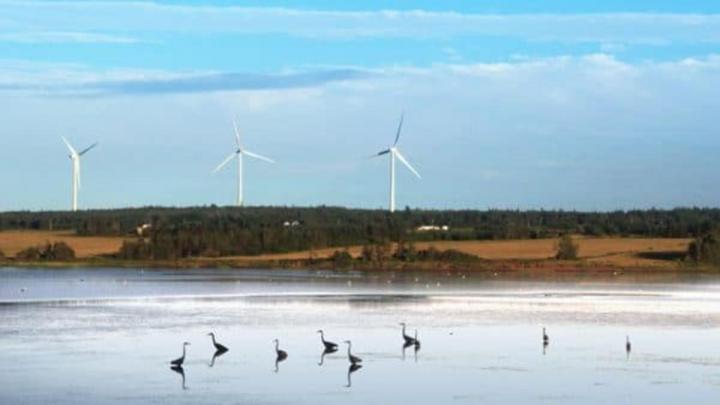 Étude d'impact environnemental Québec